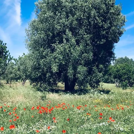Masseria Genovese