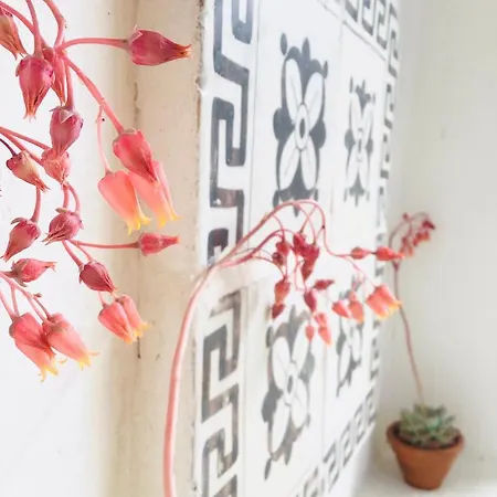 Country house Masseria Genovese