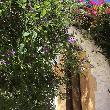 Masseria Genovese *